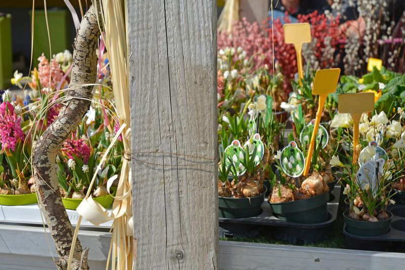 Foto von Elijah Grimm auf Unsplash