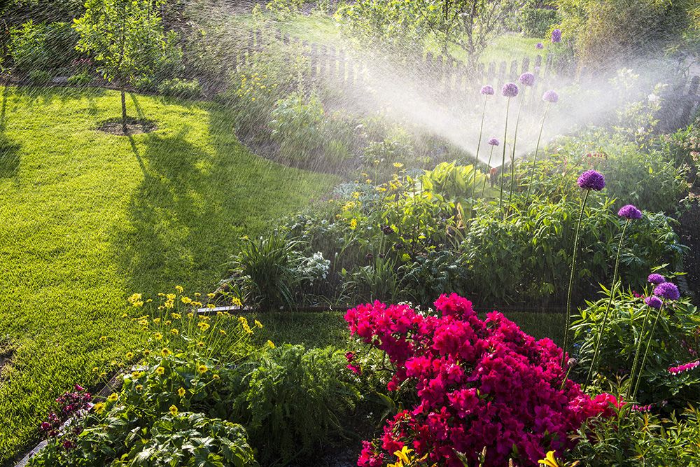 Bewässerung Blumen und Rasen